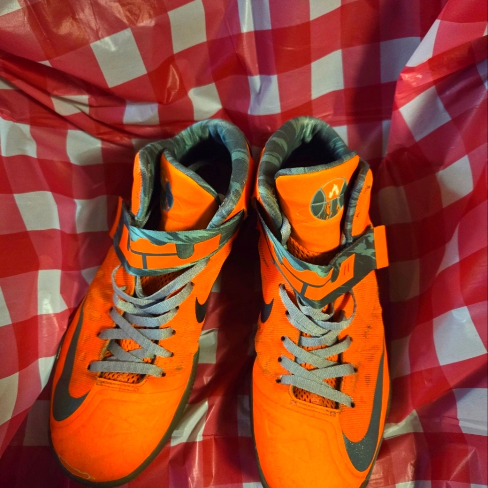 Nike Lebrons